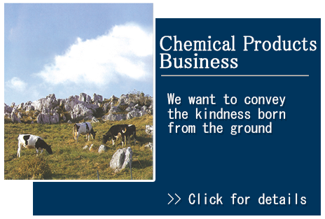 Chemical Products Business
