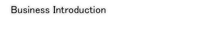 Business Introduction  Chemicals Business