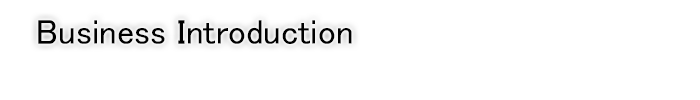 Business Introduction  Commercial Business